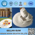 top quality high purity gellan gum for meat processing